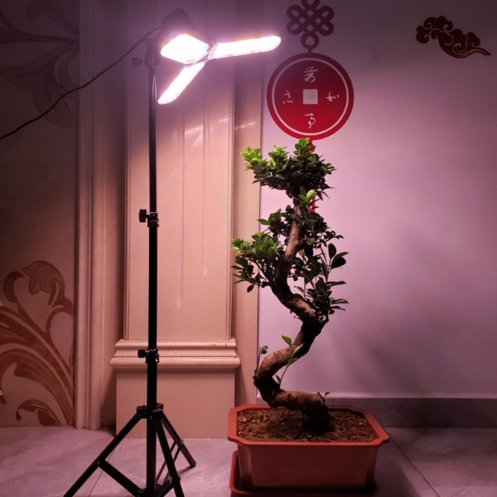 Подставка для лампочки 2 м, цо – обзор и цена Photography Lighting Umbrella