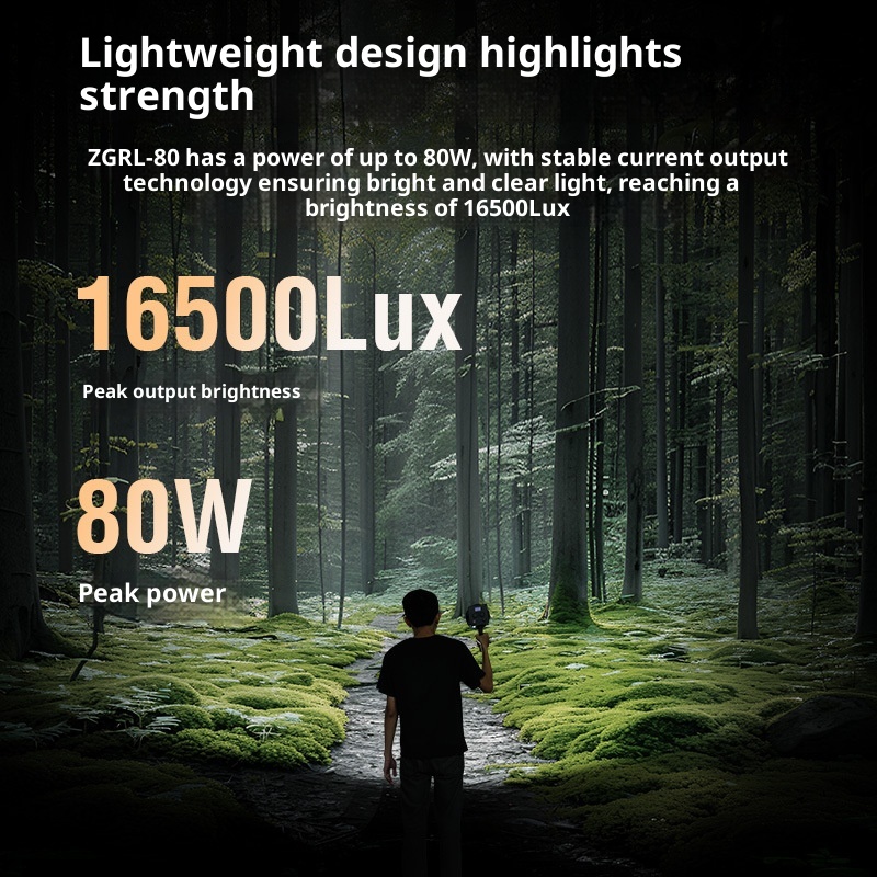 ZGRL80 80 Вт COB светодиодный  – обзор и цена Photography Lighting For Outdoors